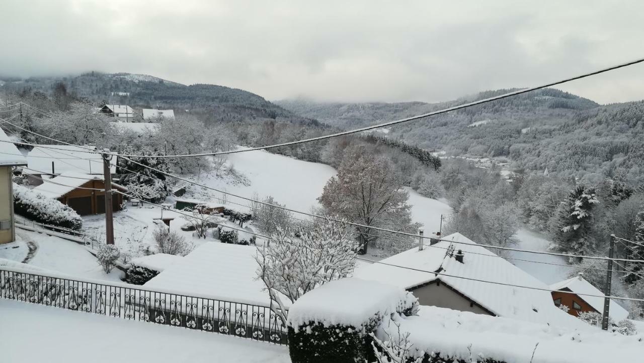 Gîte de Bellevue Plainfaing Buitenkant foto